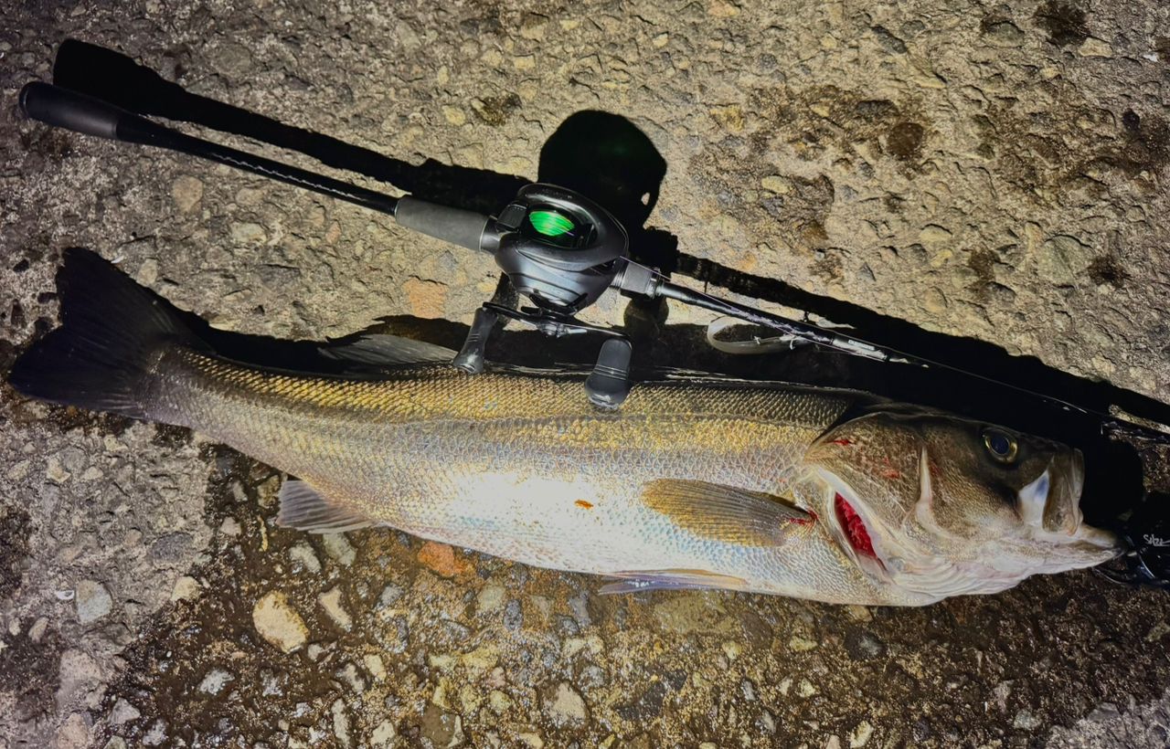 SHIMANO 20ルナミス B86MLの最安値・インプレ・釣果 | 本音の口コミが