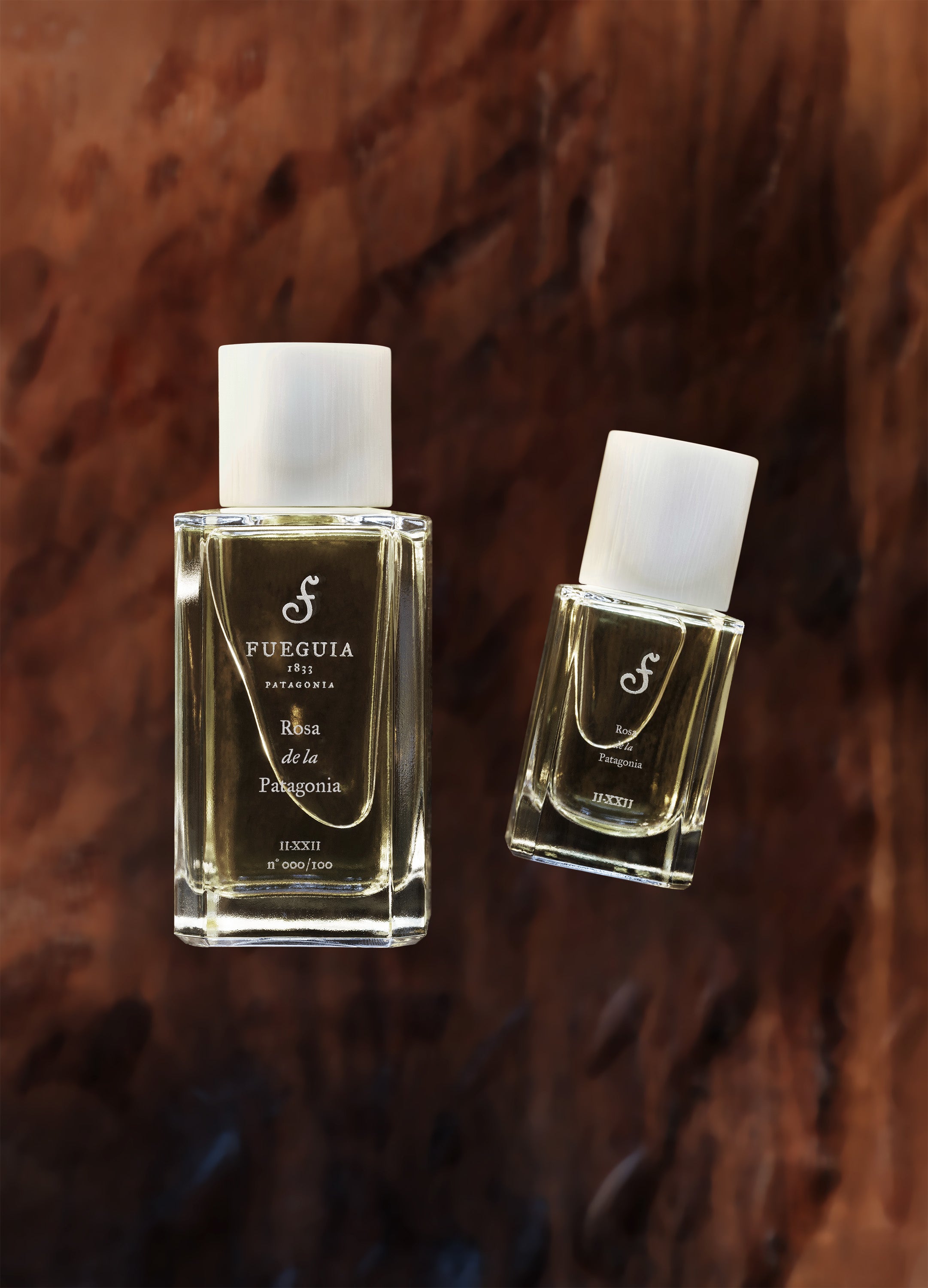 FUEGUIA 1833 | Rosa de la Patagonia｜ロサ デ ラ パタゴニア