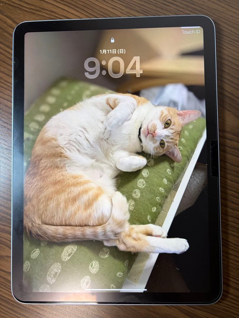 iPad Air 第6世代 Apple M2 11インチ Wi-Fi 128GB 11インチiPad Air（M2）Wi‑Fi + Cellular 128GB - パープル [整備済